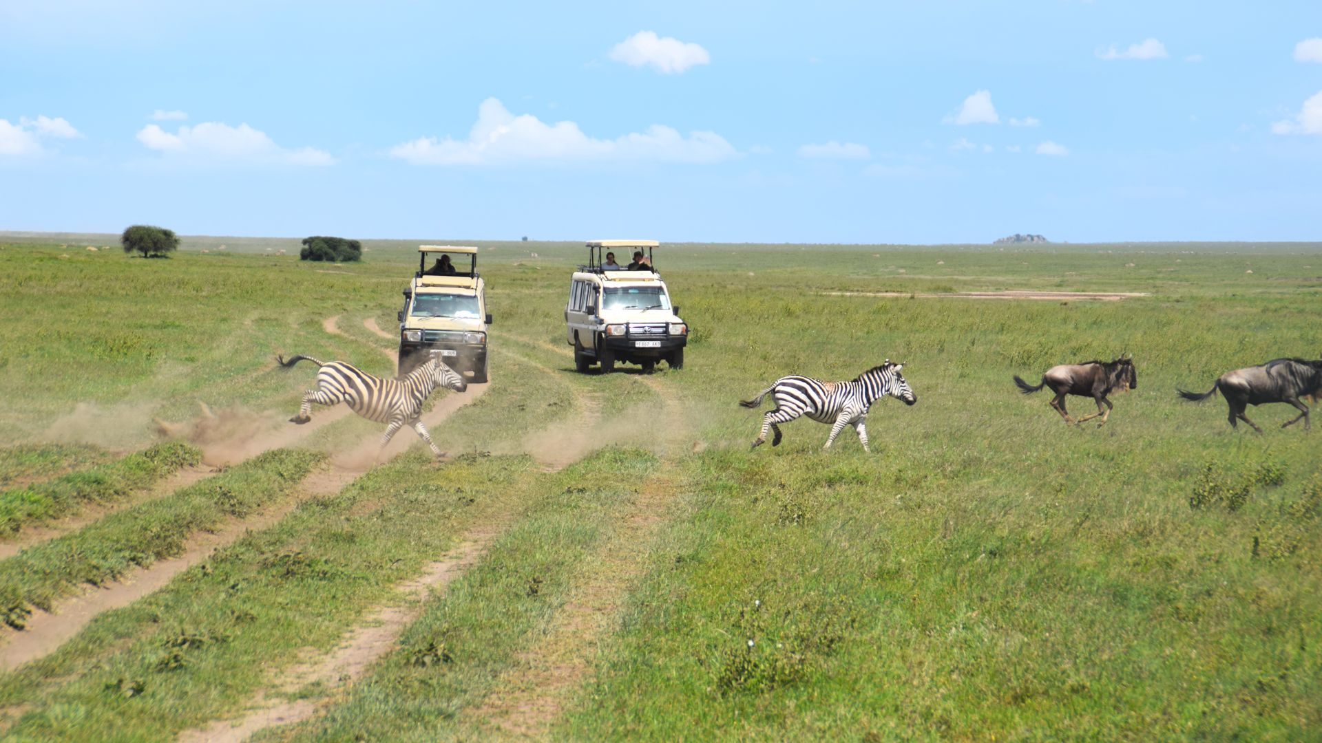 Kenia Tanzania Zanzibar | 16-daagse reis | Matoke Tours