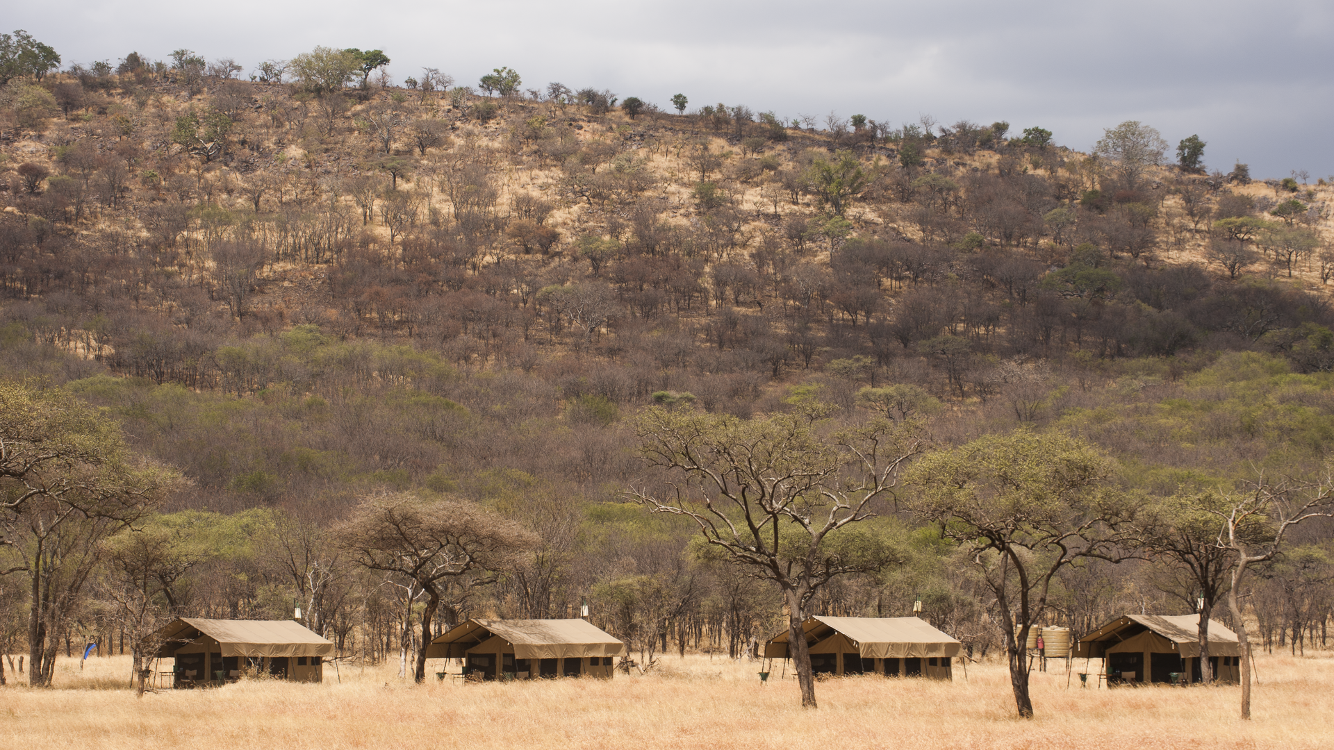 Seronera Kati Kati Tented Camp » Matoke