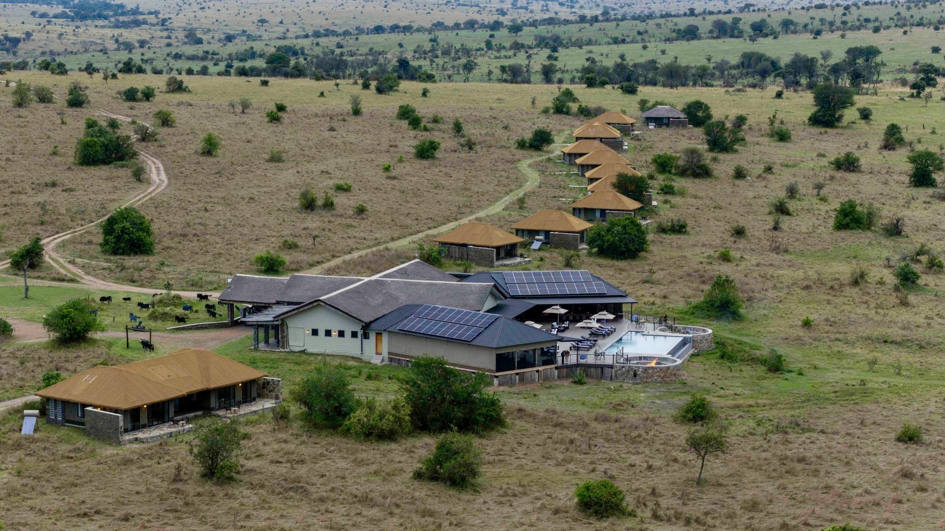 Serengeti River Camp » Tanzania » Matoke Tours