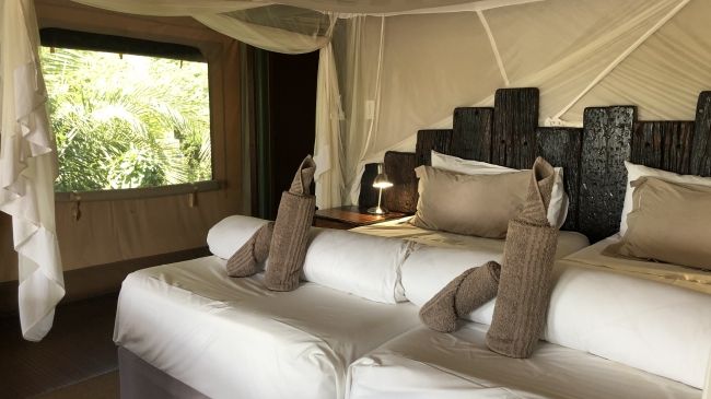 Shametu River Lodge » Matoke