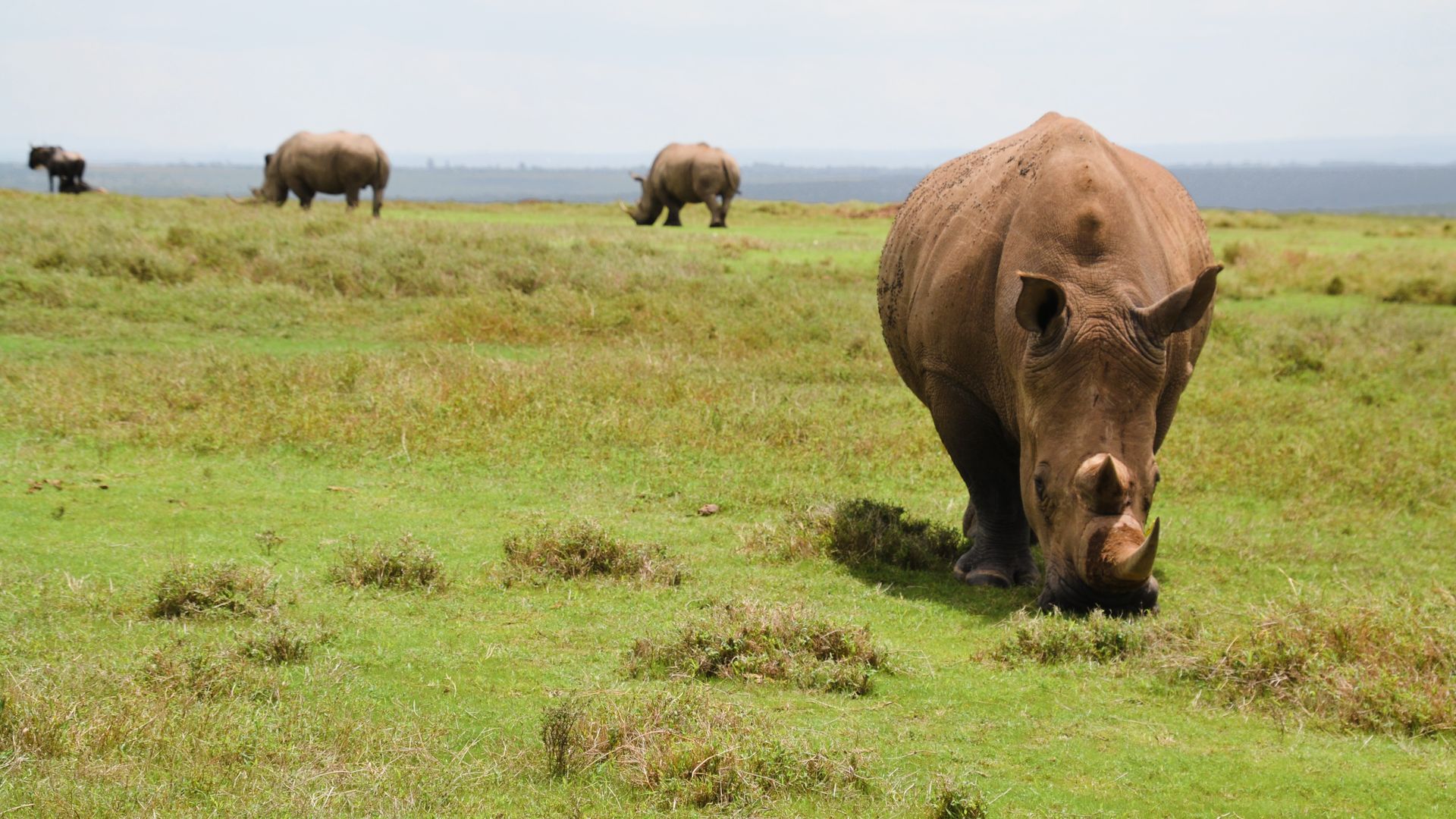 Reisspecialist Natasja op reis in Centraal Kenia | Matoke Tours