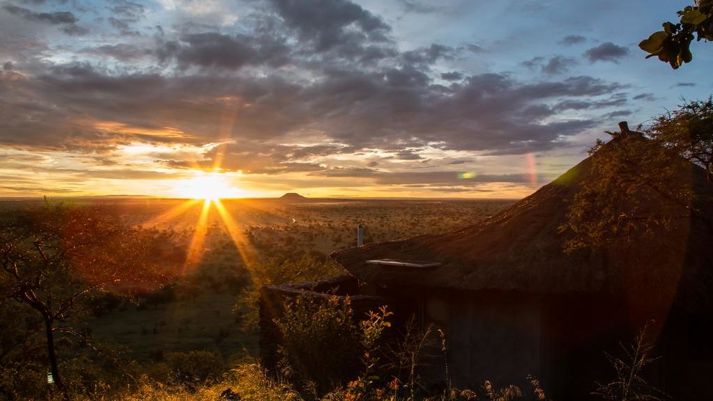 Serengeti Simba Lodge » Matoke