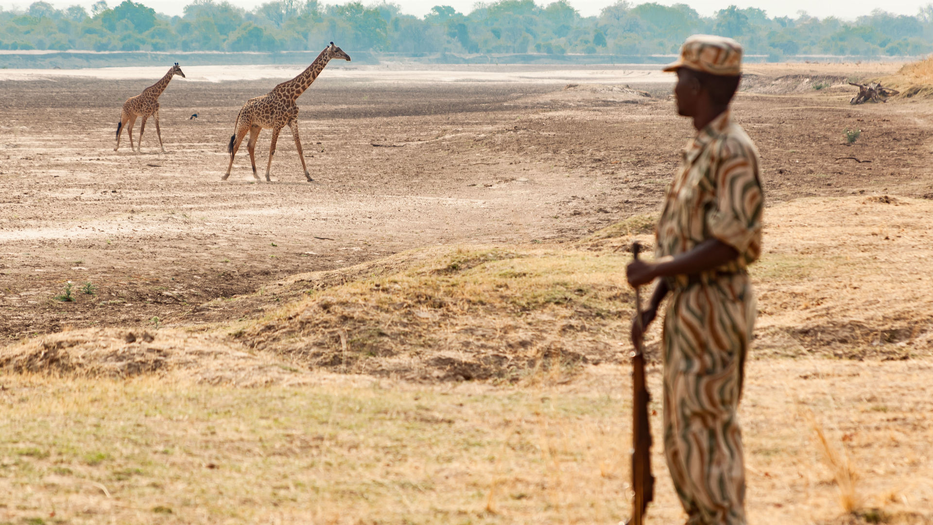 Budget safari Zambia Malawi - budget reis Malawi Zambia