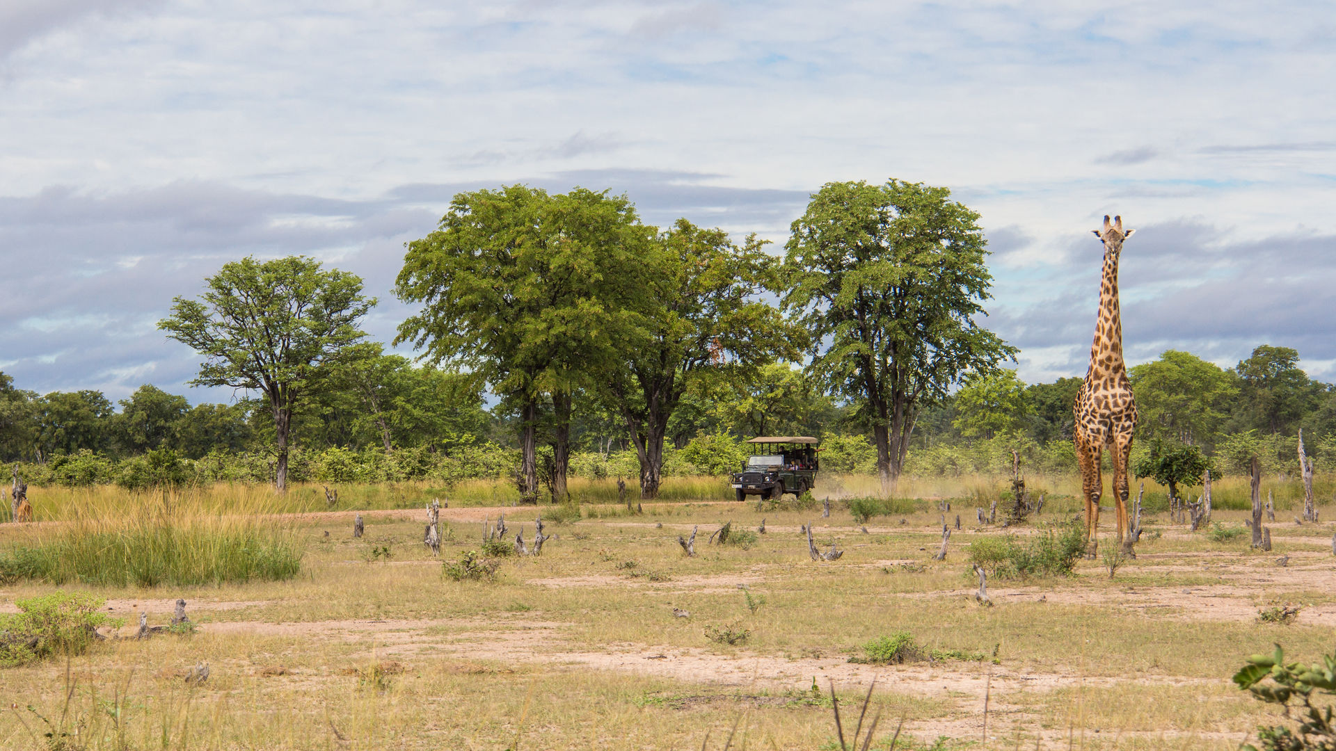 Budget safari Zambia Malawi - budget reis Malawi Zambia