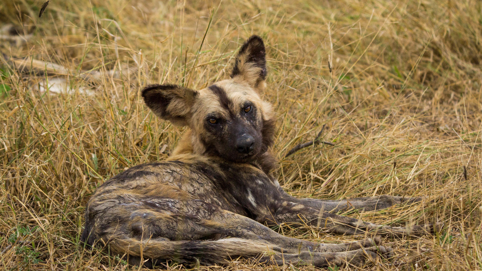 Malawi Zambia Groepsreis - Matoke Tours