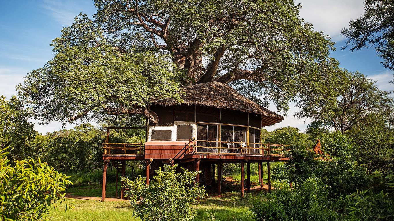 Tarangire Treetops Lodge » Matoke