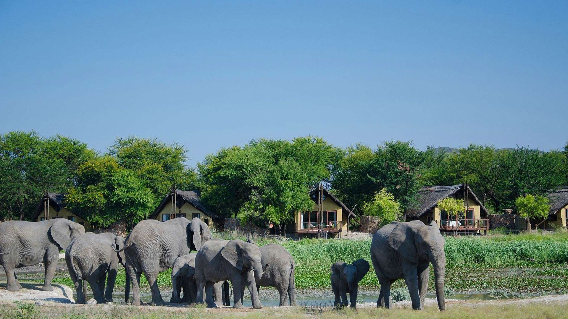 Tau Game Lodge » Zuid Afrika » Matoke Tours