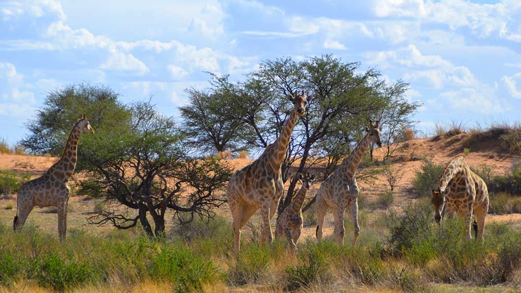Teufelskrallen Tented Lodge » Namibië » Matoke Tours