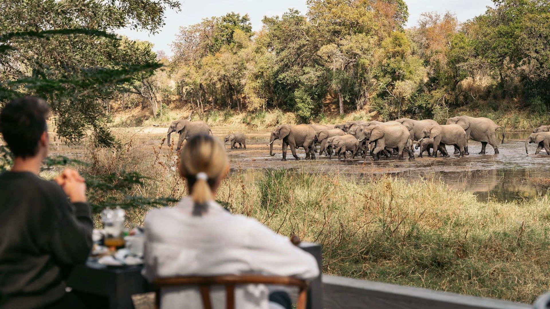 Simbavati River Lodge » Zuid Afrika » Matoke Tours