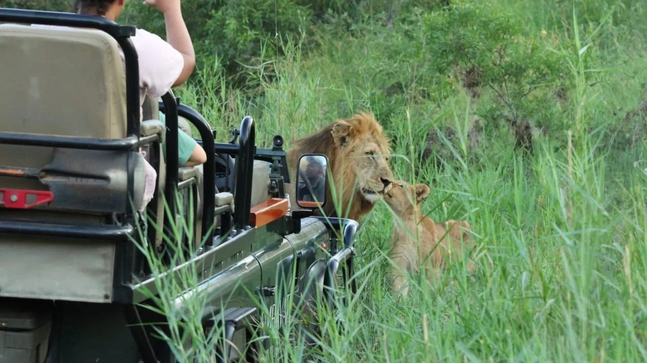 Simbavati River Lodge » Zuid Afrika » Matoke Tours