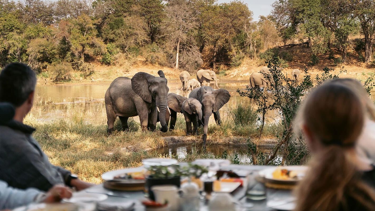 Simbavati River Lodge » Zuid Afrika » Matoke Tours