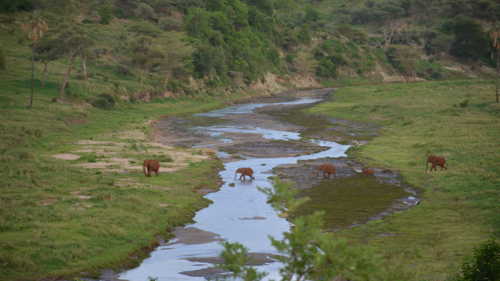 Individuele rondreis Tanzania - 17 dagen Tanzania - Matoke Tours