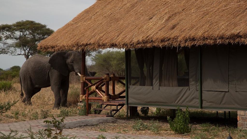 Tarangire Simba Lodge » Matoke