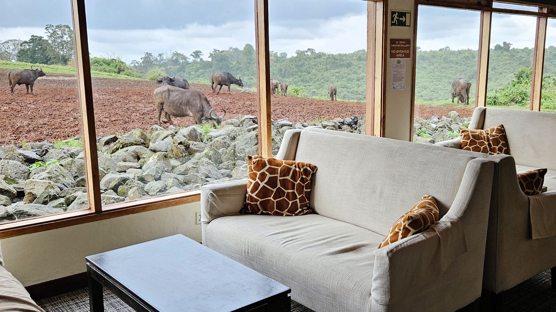 The Ark » Kenia » Matoke Tours