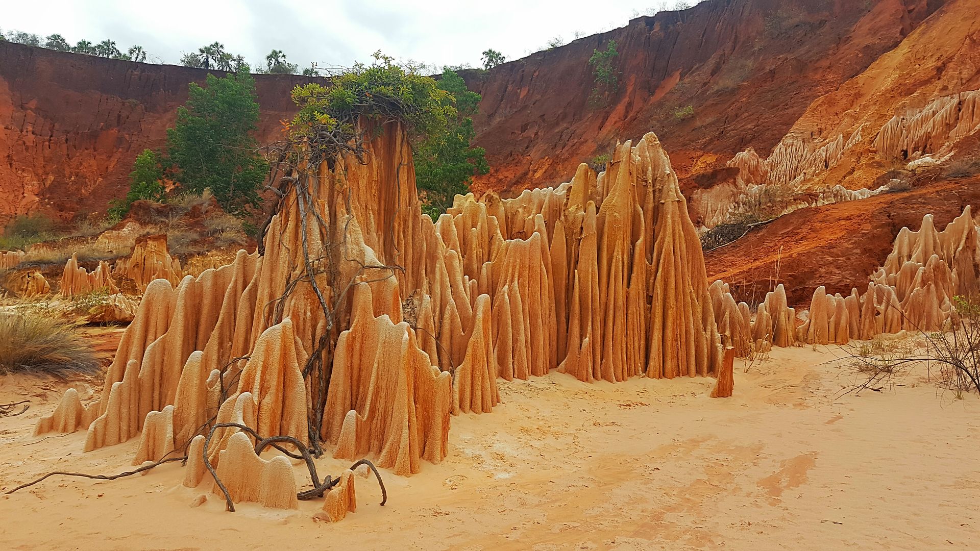 Afrika Blog van Matoke Tours - Uit liefde voor AFRIKA