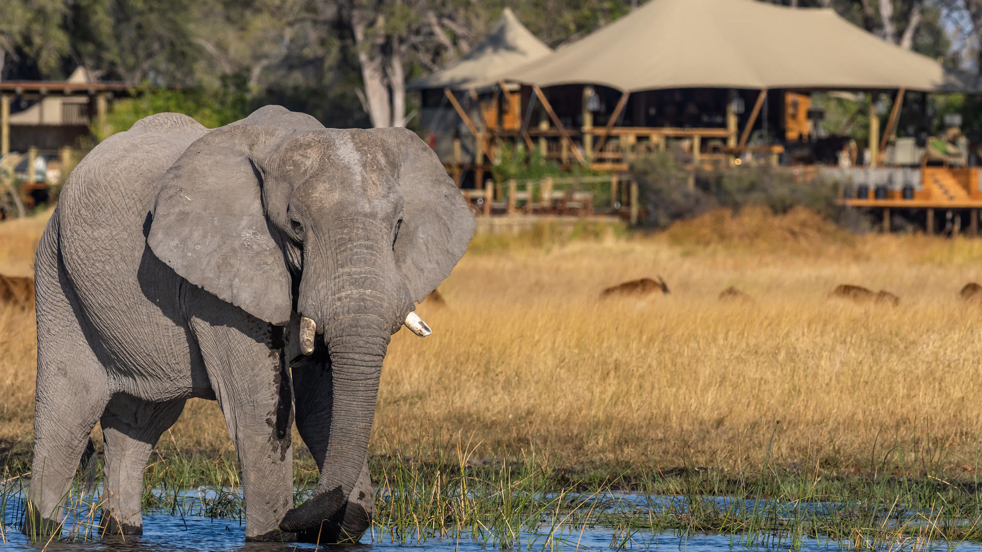 Individuele rondreis Botswana | 12 dagen reis | Matoke Tours