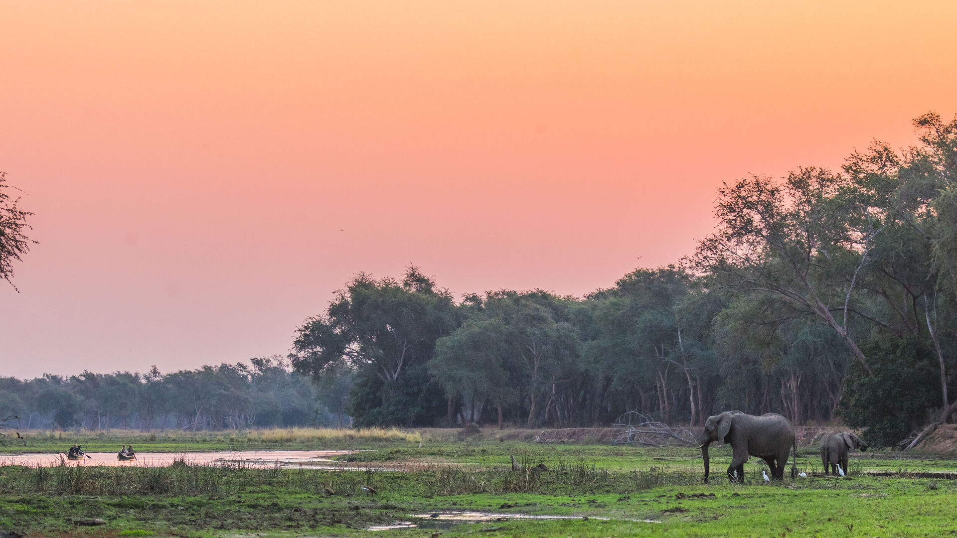 Privéreis Zambia exclusieve safarireis - 16 dagen|Matoke Tours