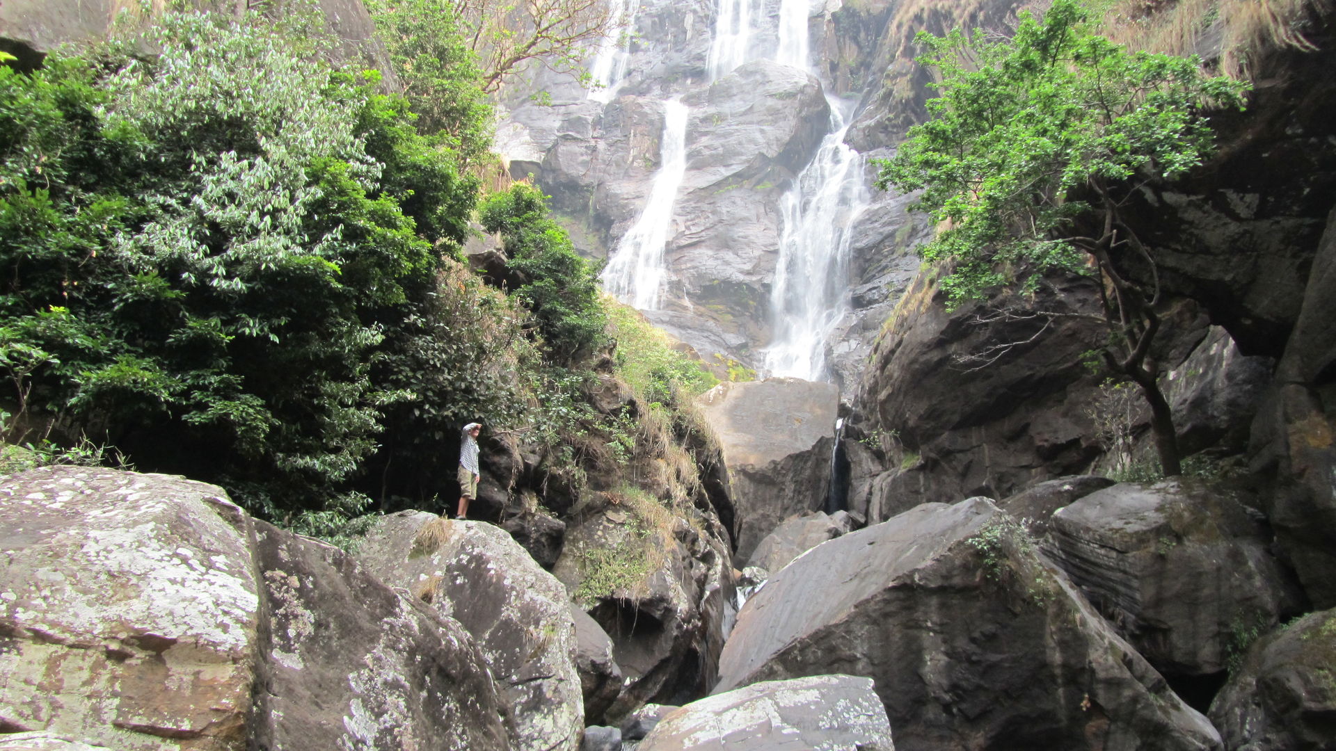 Udzungwa - Udzungwa Mountains - Zuid Tanzania reizen