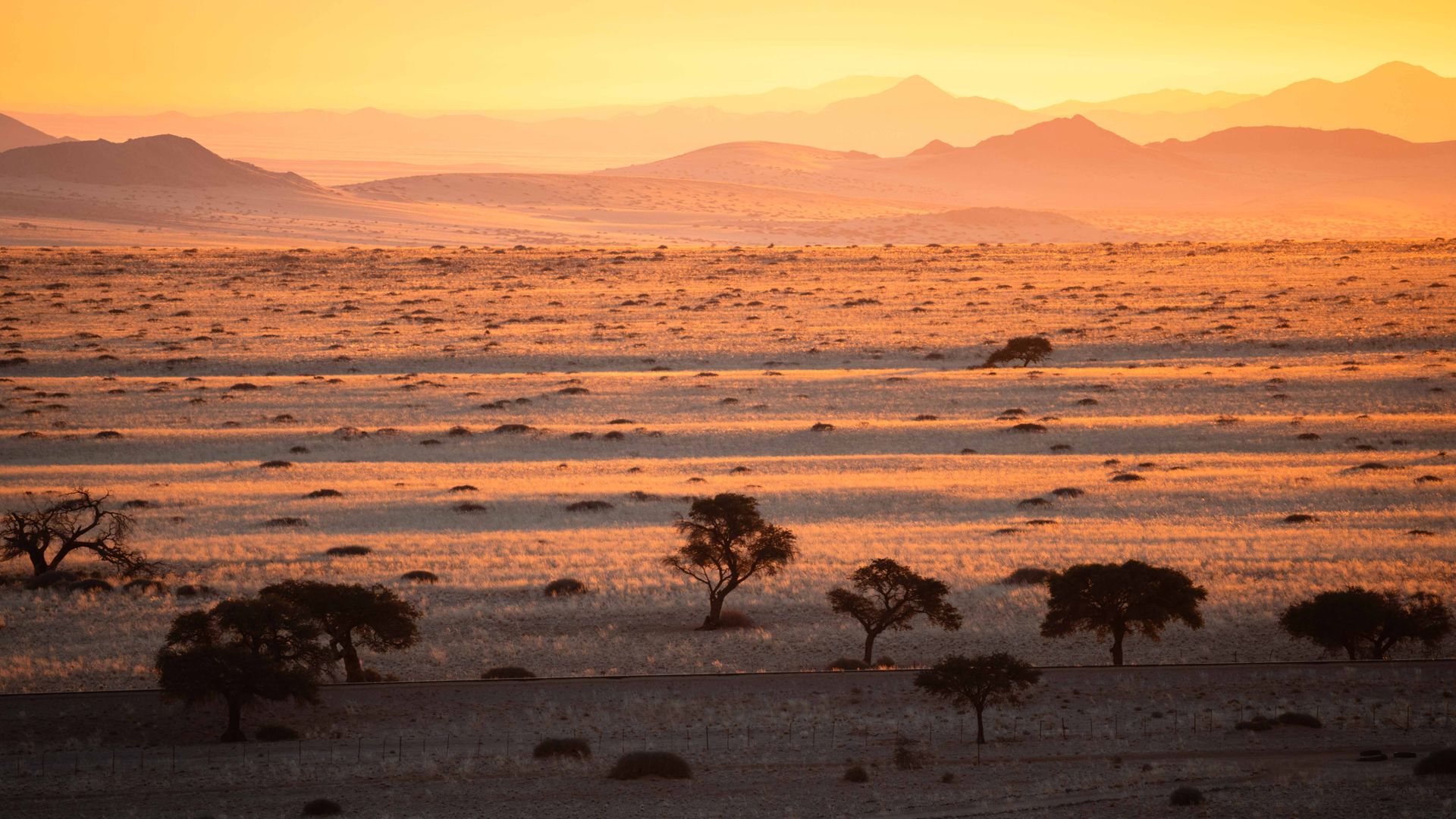 Afrika reizen