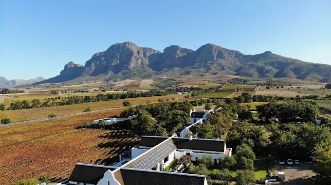 Vrede en Lust Estate » Matoke