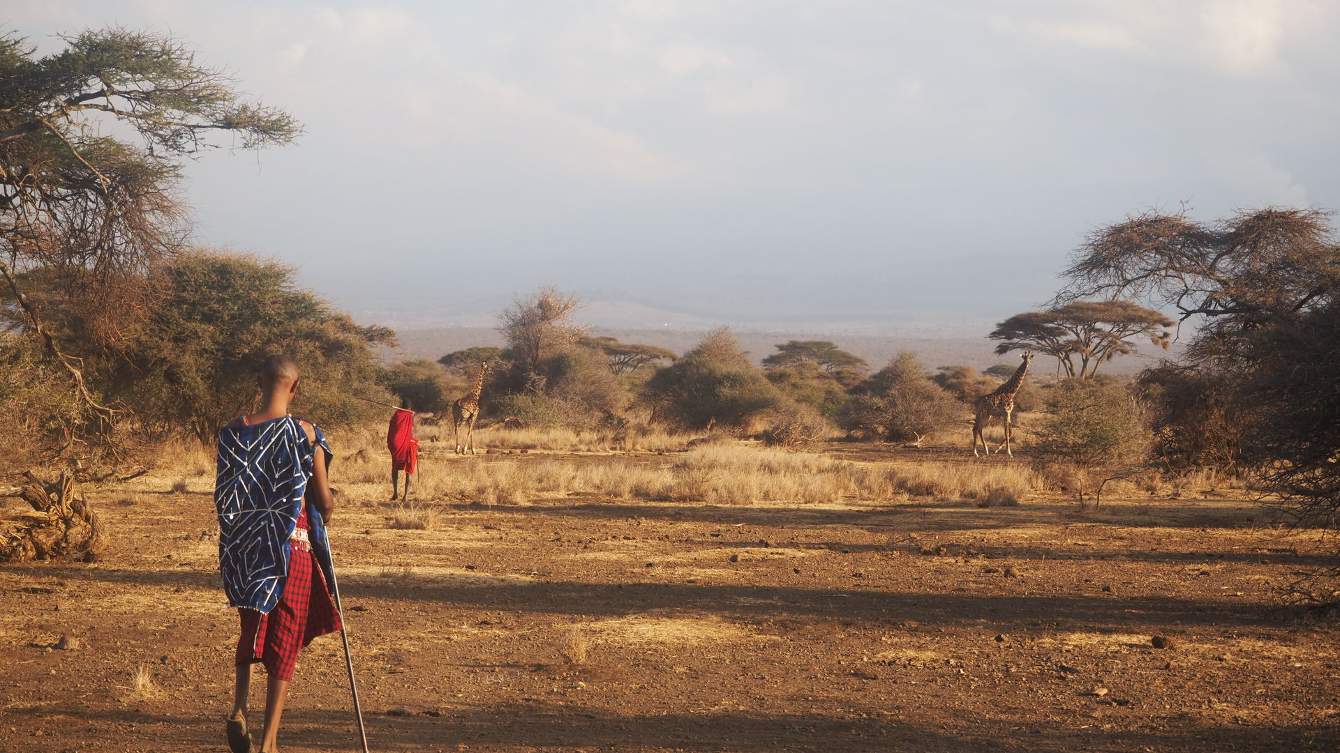 Satao Elerai Amboseli » Matoke