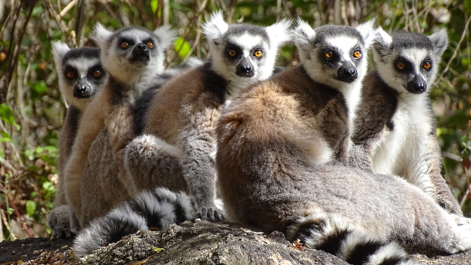 Madagascar RN7 en westroute langs kust » Matoke