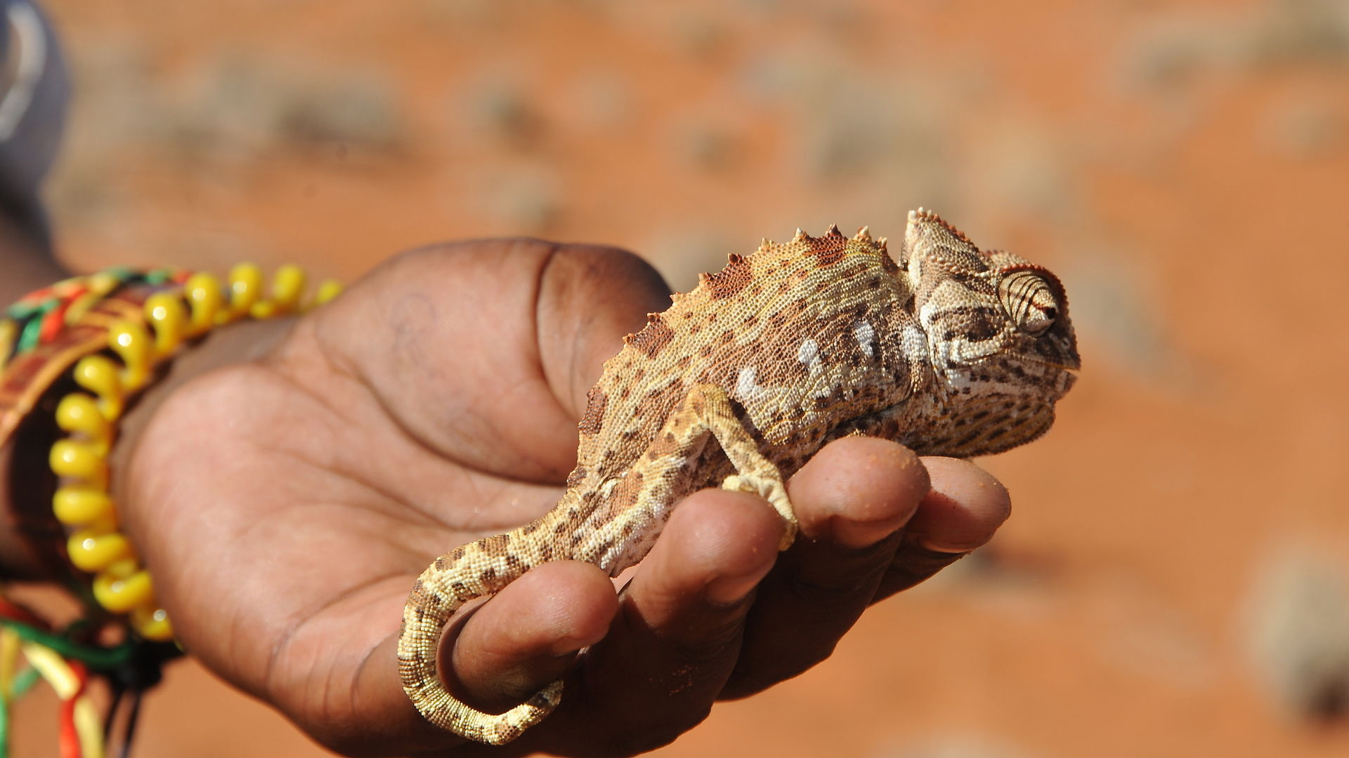 Namibie 3 weken - Ontdek Namibie in 21 dagen - Matoke Tours