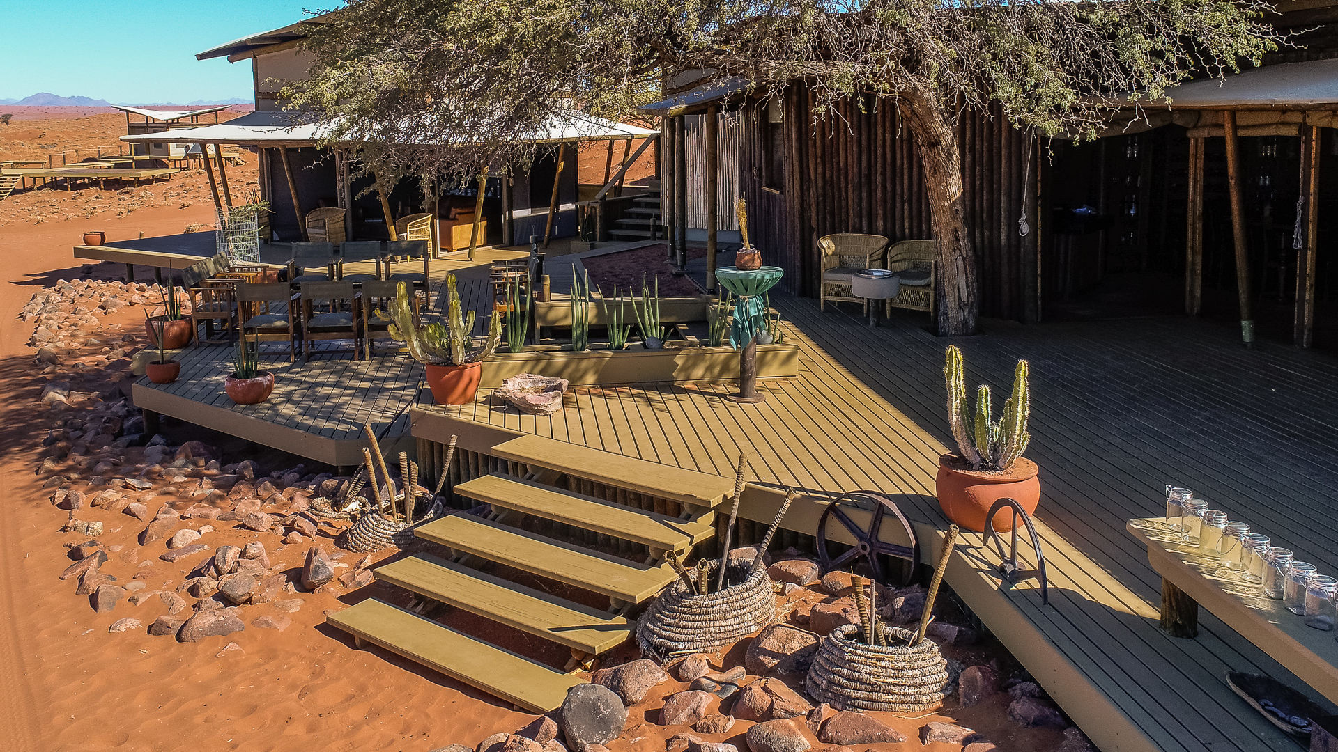 Wolwedans Dune Camp » Matoke