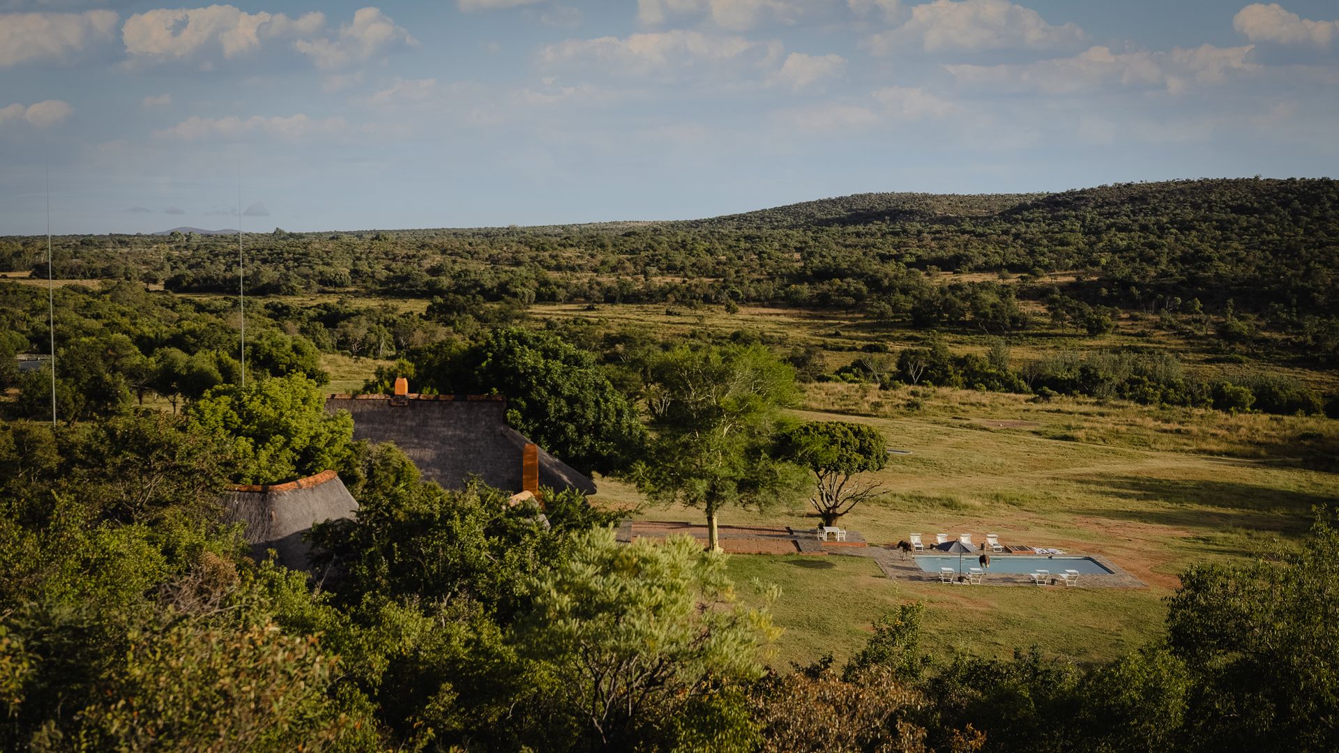 Zebras Crossing » Zuid Afrika » Matoke Tours