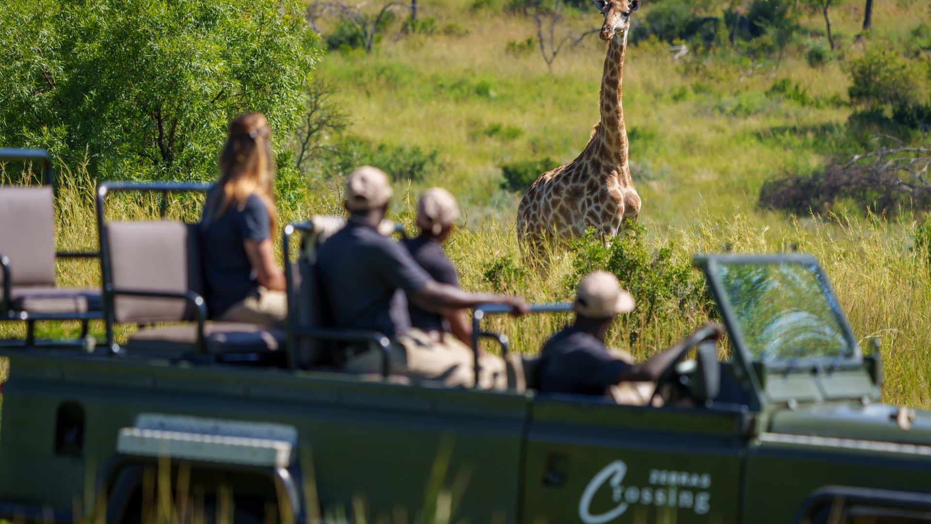 Zebras Crossing » Zuid Afrika » Matoke Tours