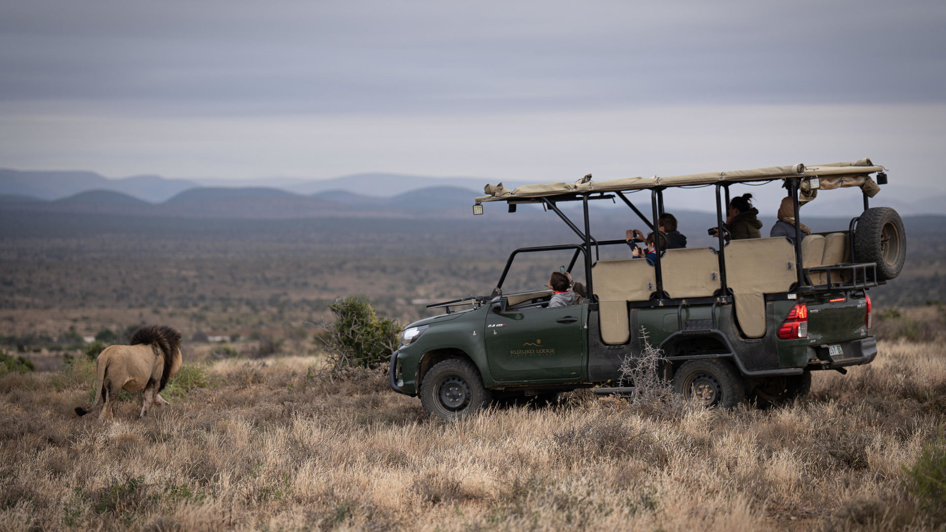 Addo Elephant - Nationaal Park - Zuid-Afrika - Matoke Tours