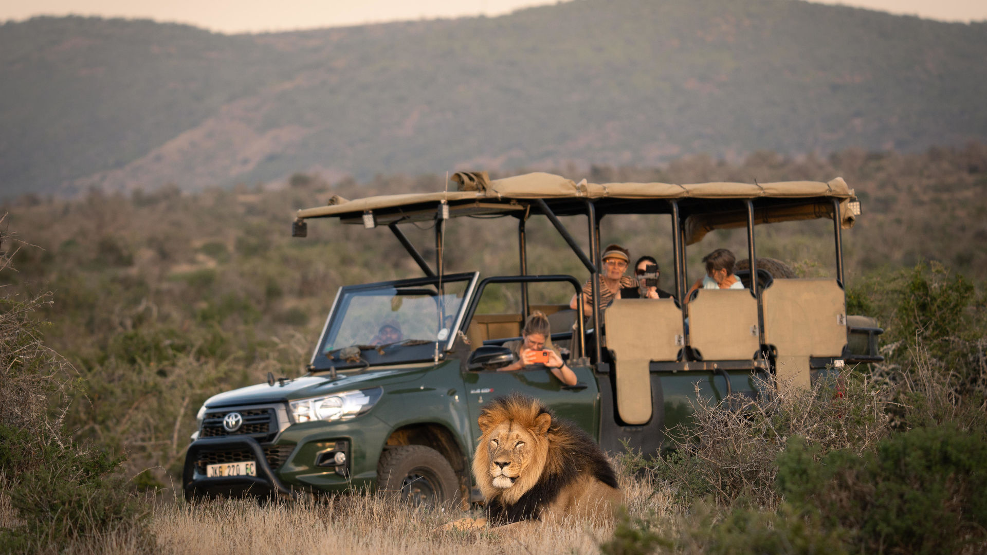 Addo Elephant - Nationaal Park - Zuid-Afrika - Matoke Tours