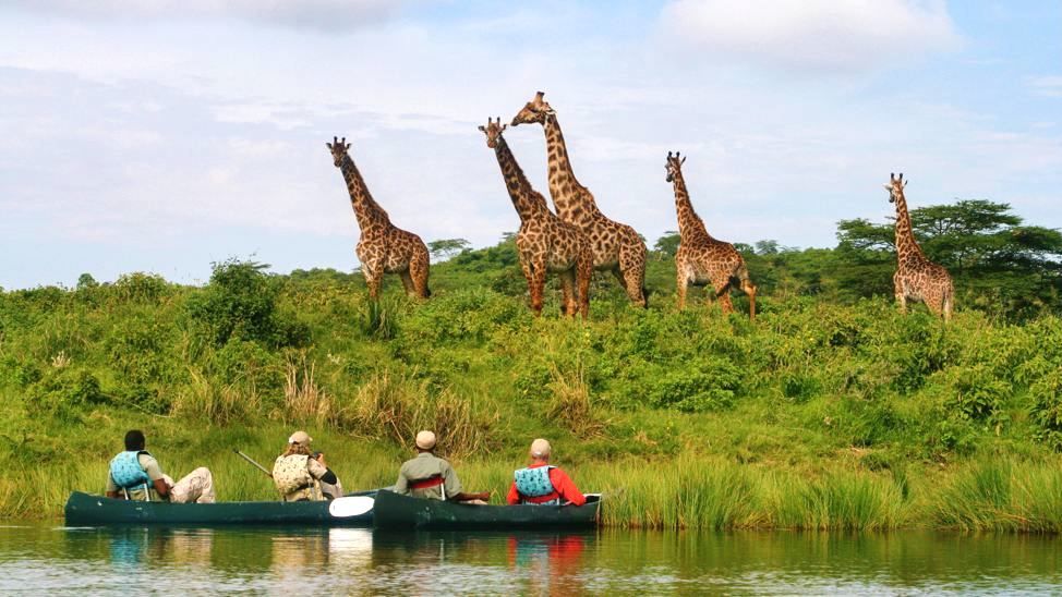 Gorongosa National Park | Safari in Mozambique | Matoke Tours