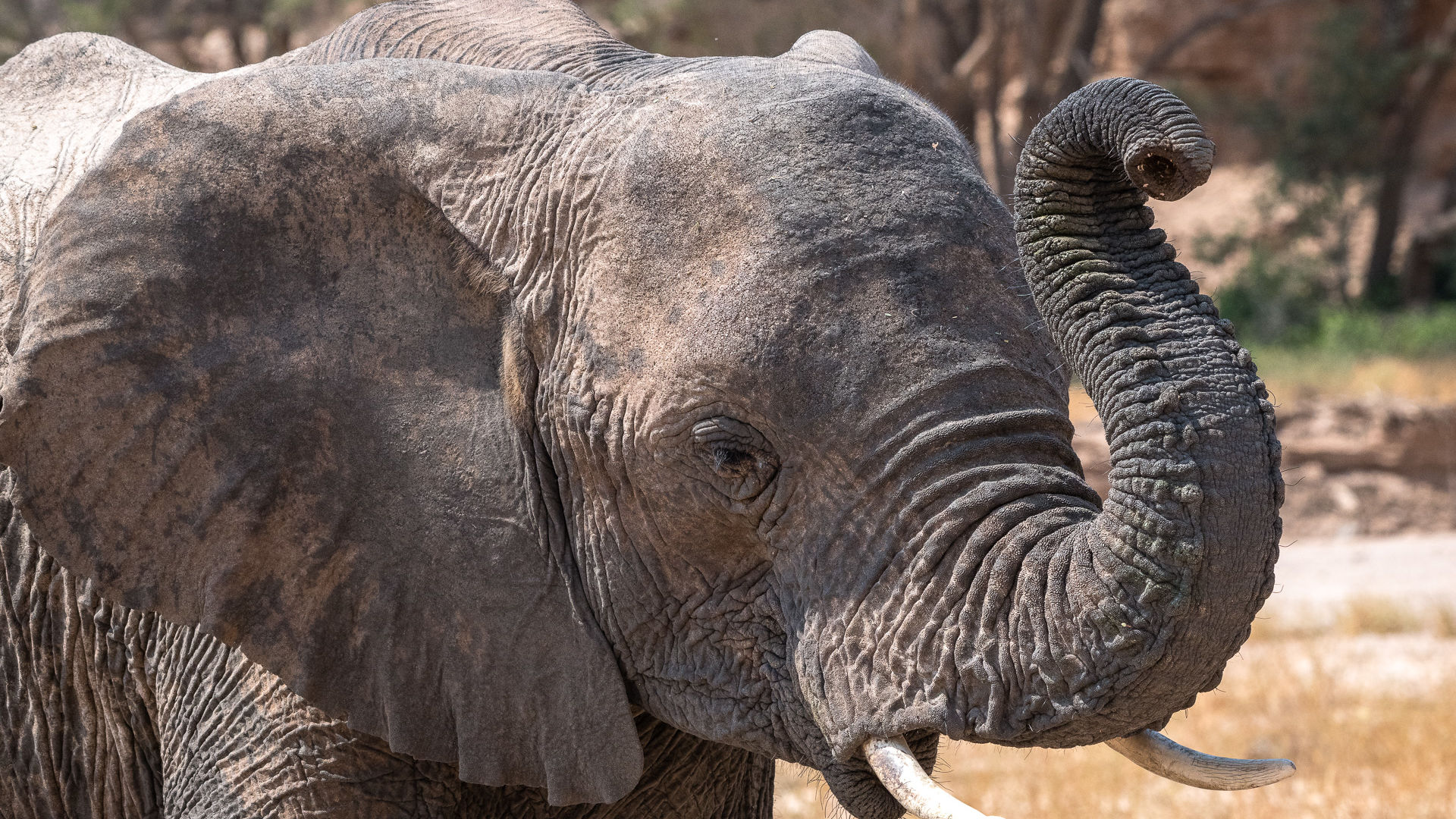 Bruisende familiereis Namibië » Matoke