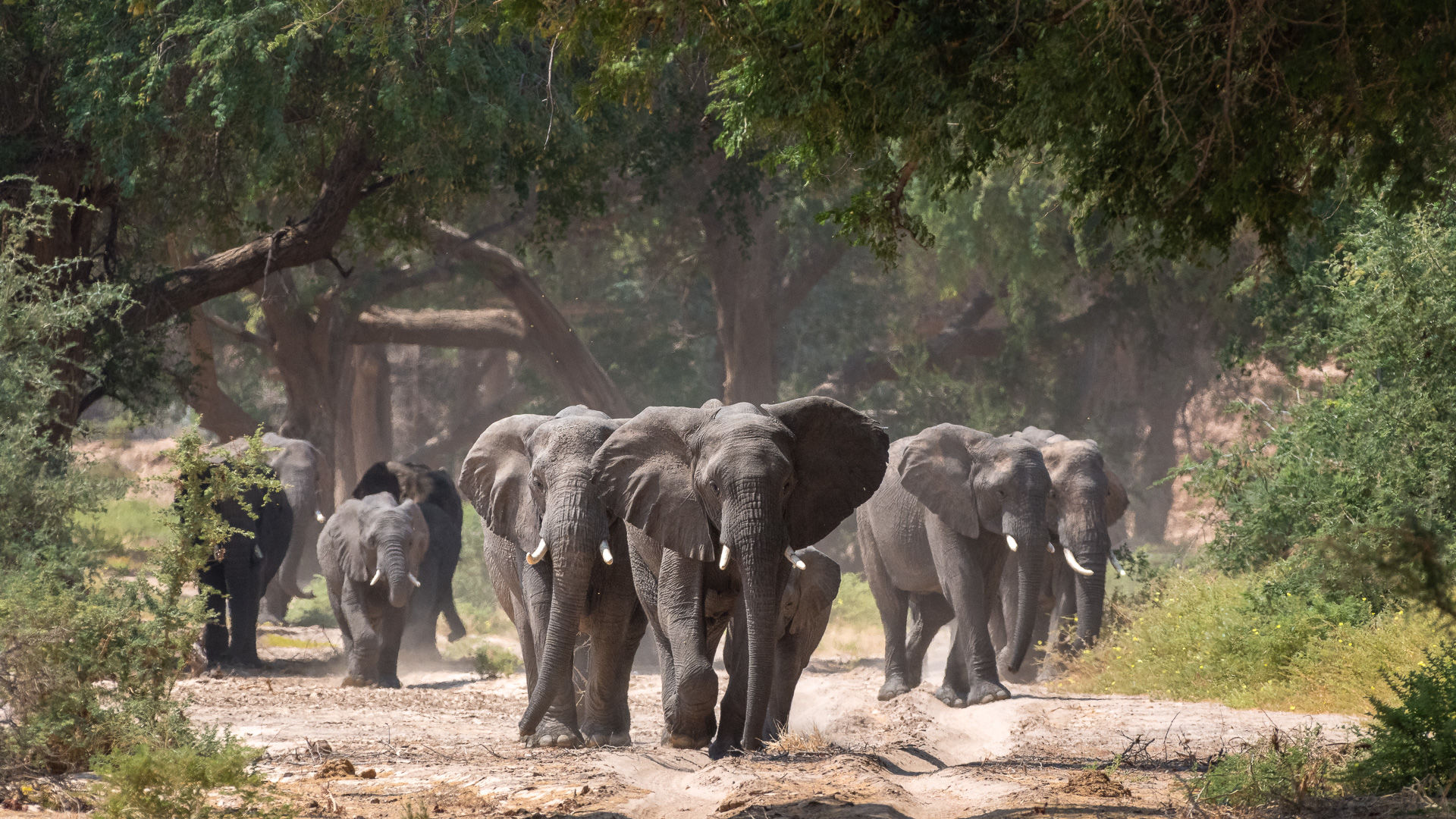 Namibie 3 weken - Ontdek Namibie in 21 dagen - Matoke Tours