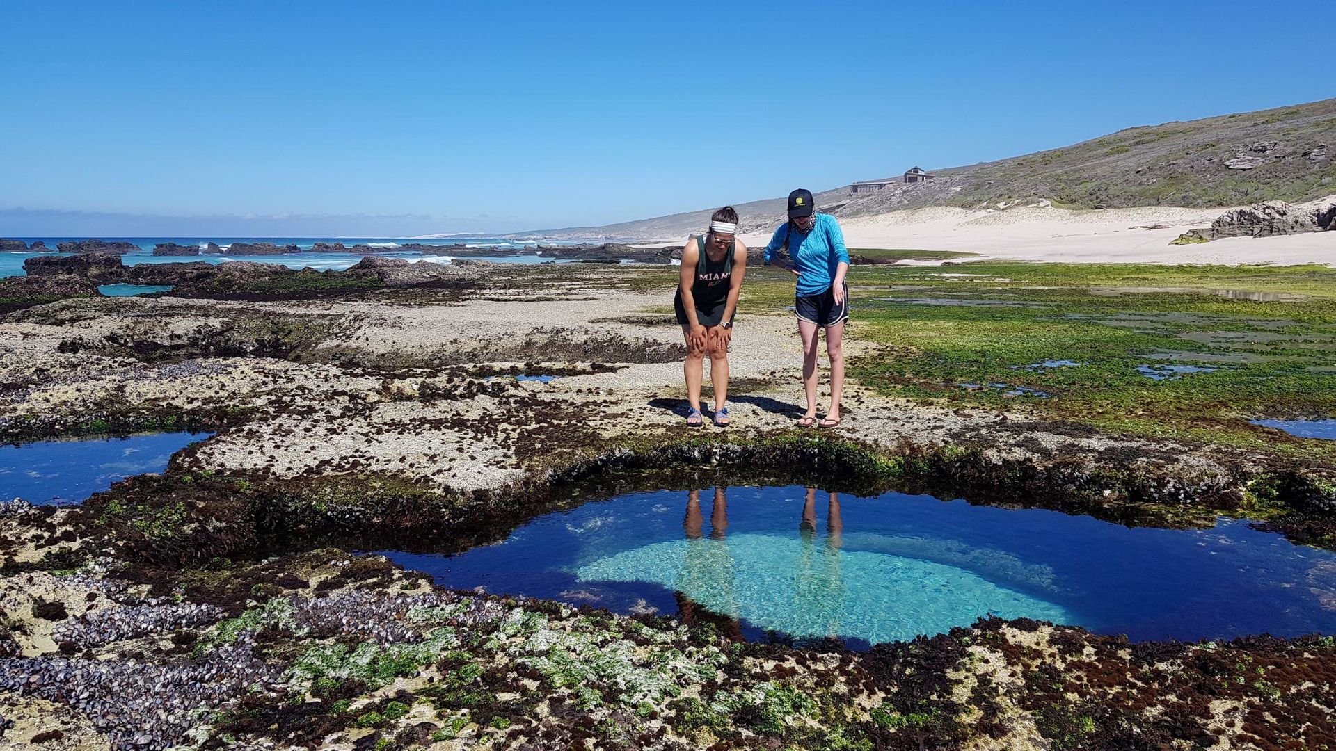 16-daagse gezinsreis Zuid-Afrika malariavrij | Tuinroute en Kaapstad