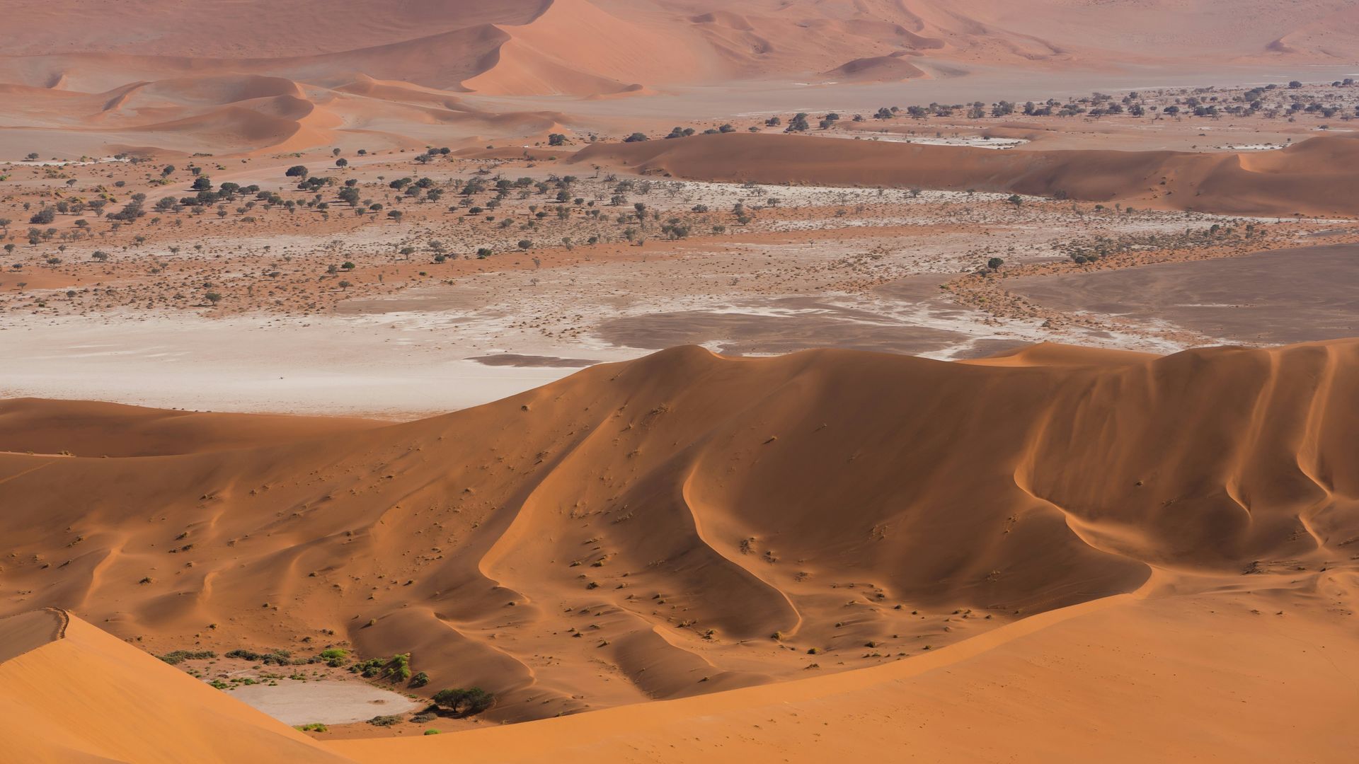 Sossusvlei Namibië - Matoke Tours