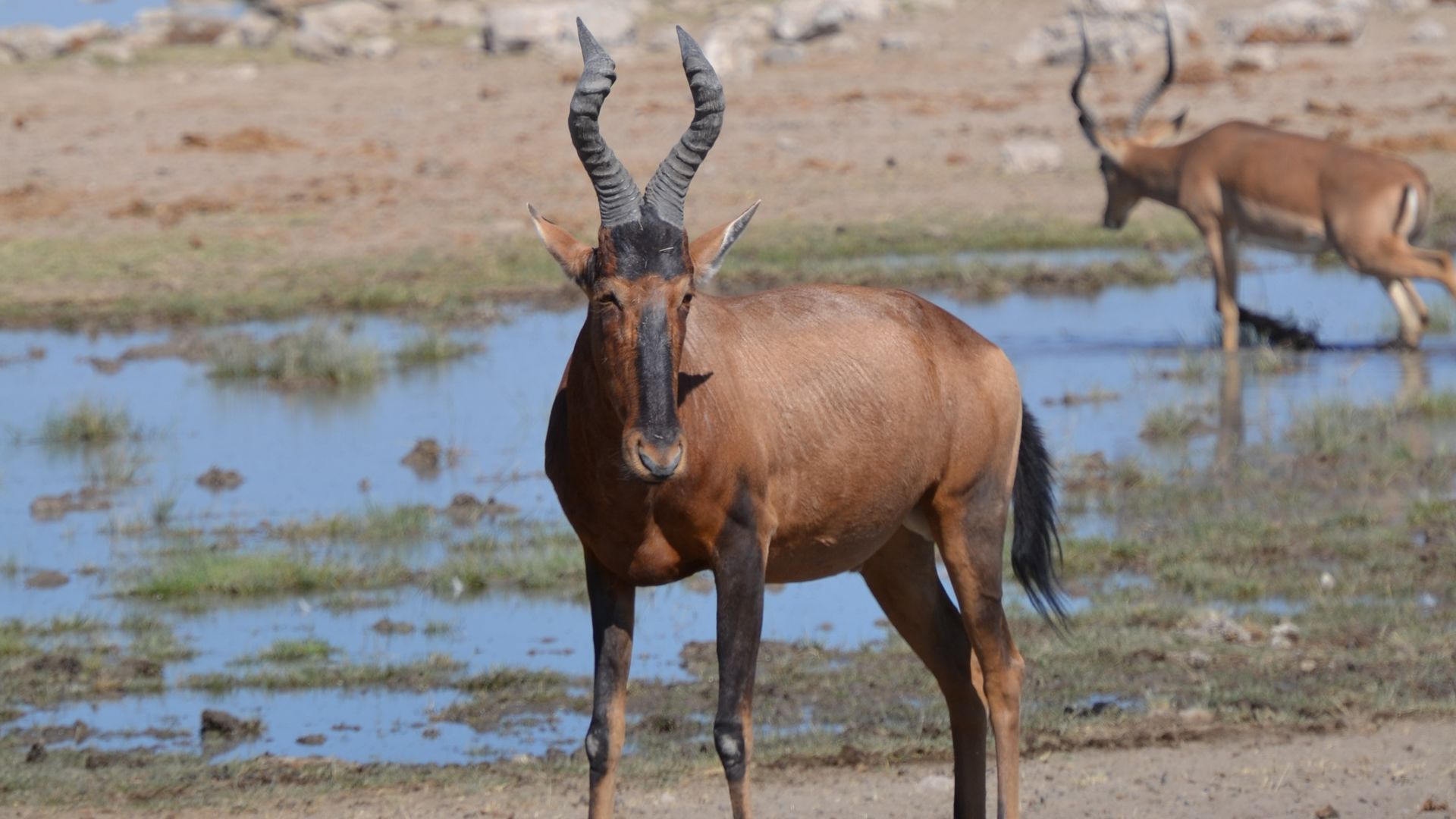 Matoke Tours reisspecialisten op studiereis in Namibië