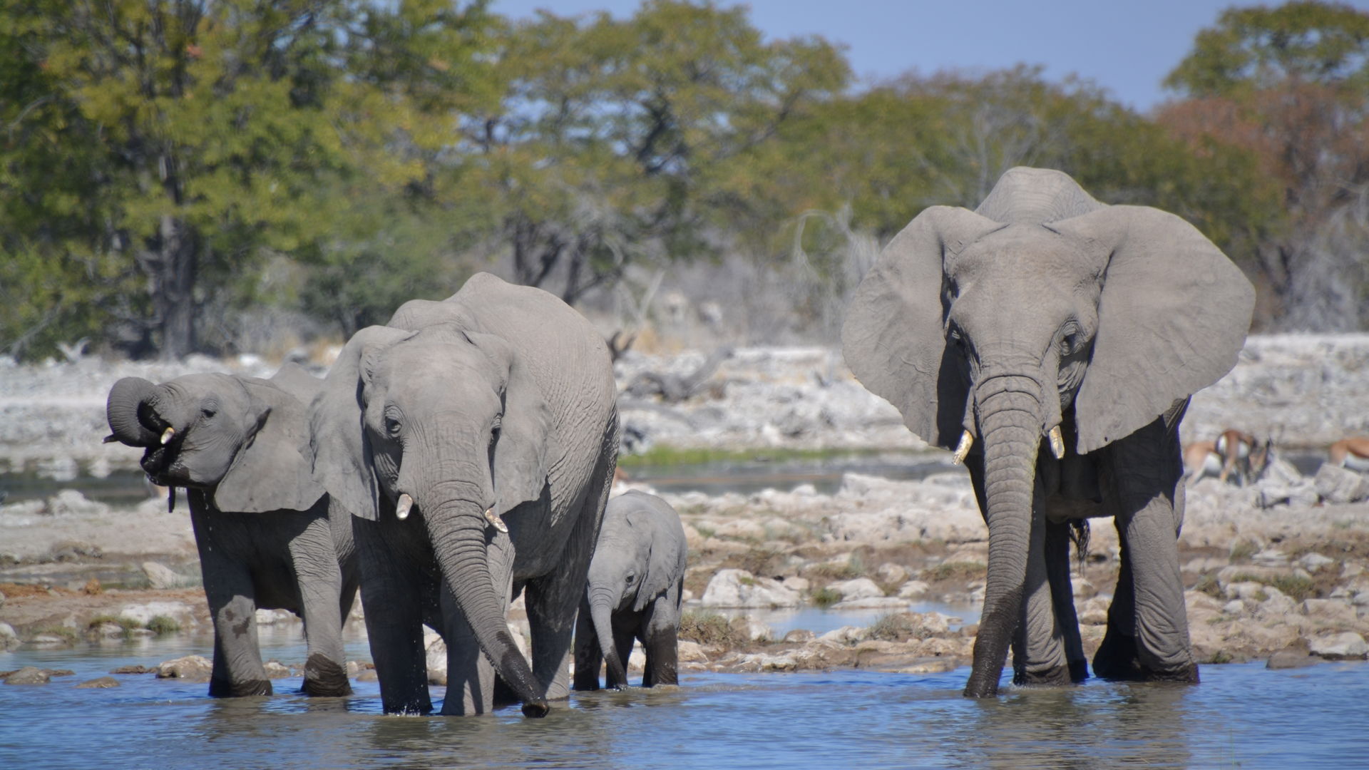 Namibie rondreis lodges | luxe lodges reis door Namibie