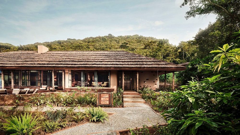 Sanctuary Gorilla Forest Camp » Oeganda » Matoke Tours