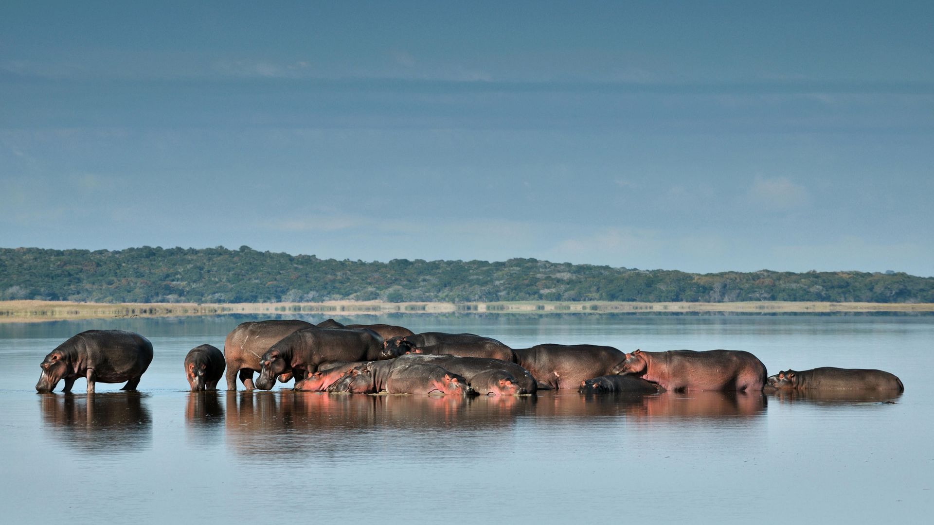 11-daagse privé reis Mozambique: safari en strand