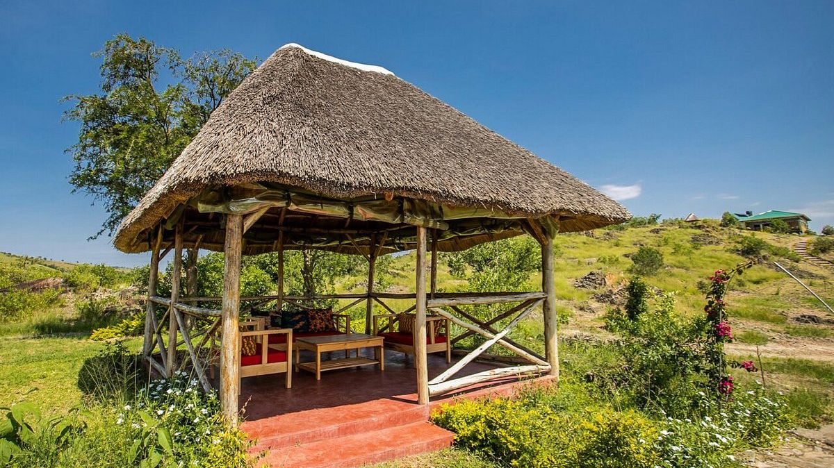 Hyena Hill Lodge » Matoke