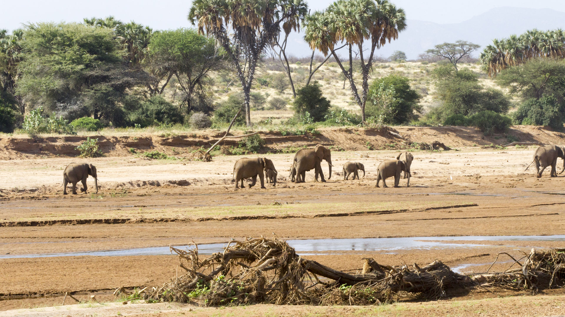 Privéreis Kenia Zanzibar safari strand - 15 dagen|Matoke Tours