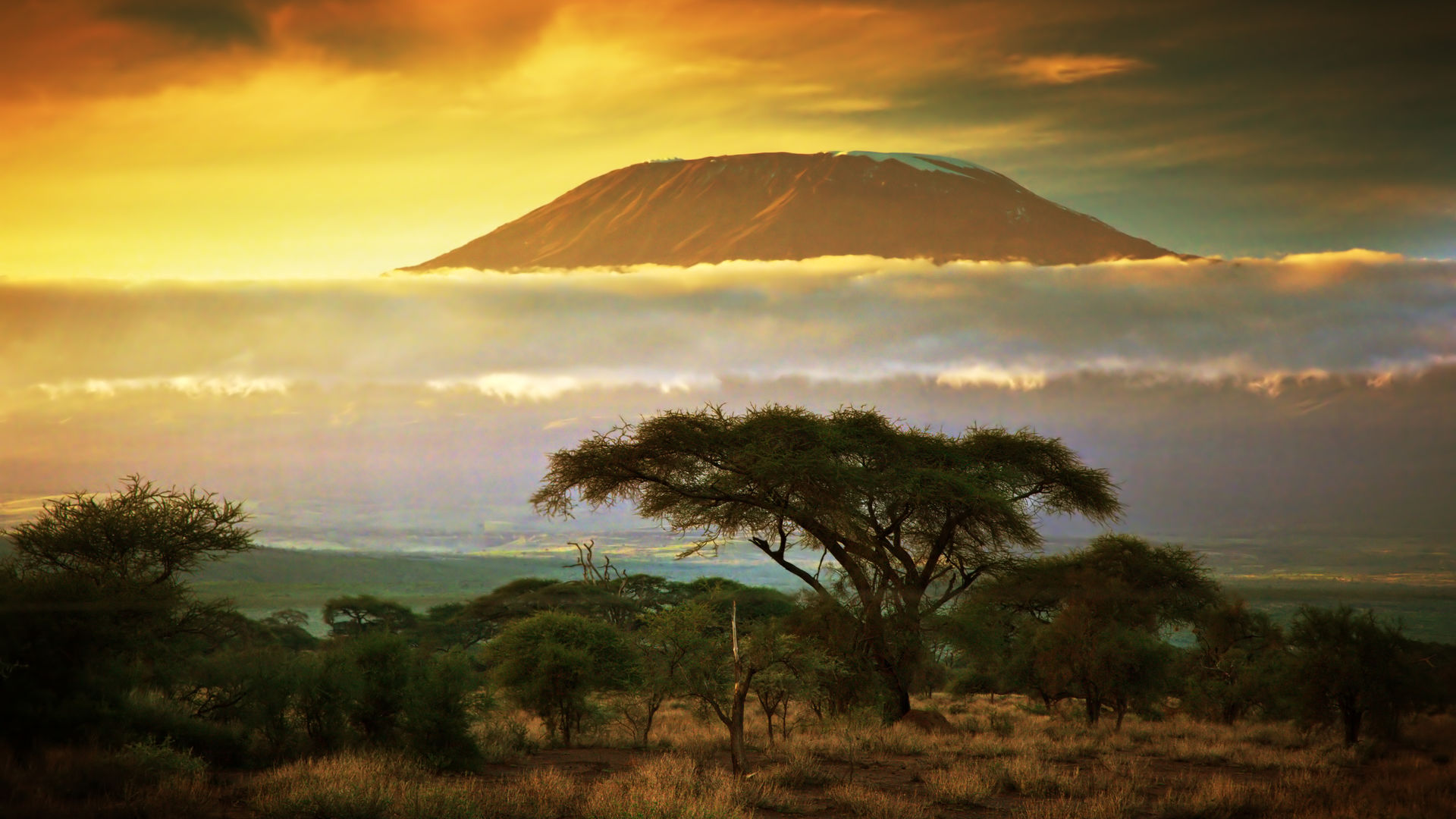 Kenia Safari en strand » Matoke