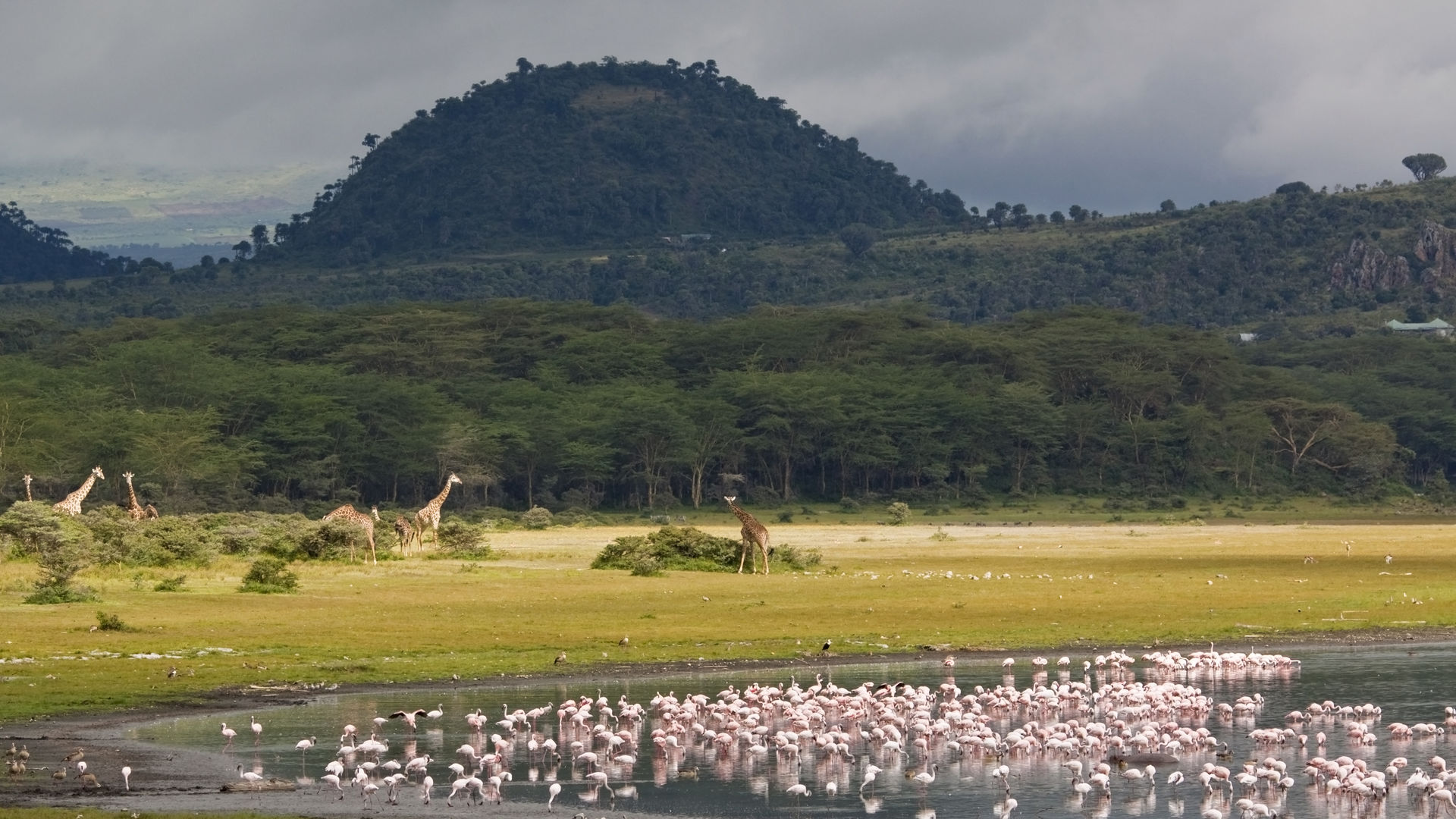 Kenia Safari en strand » Matoke