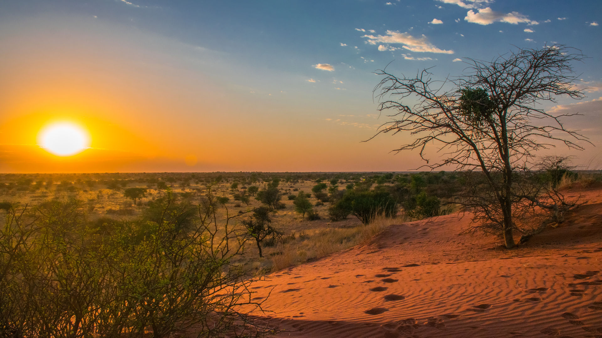 zonsopgang in de woestijn van Kalahari, Namibië.