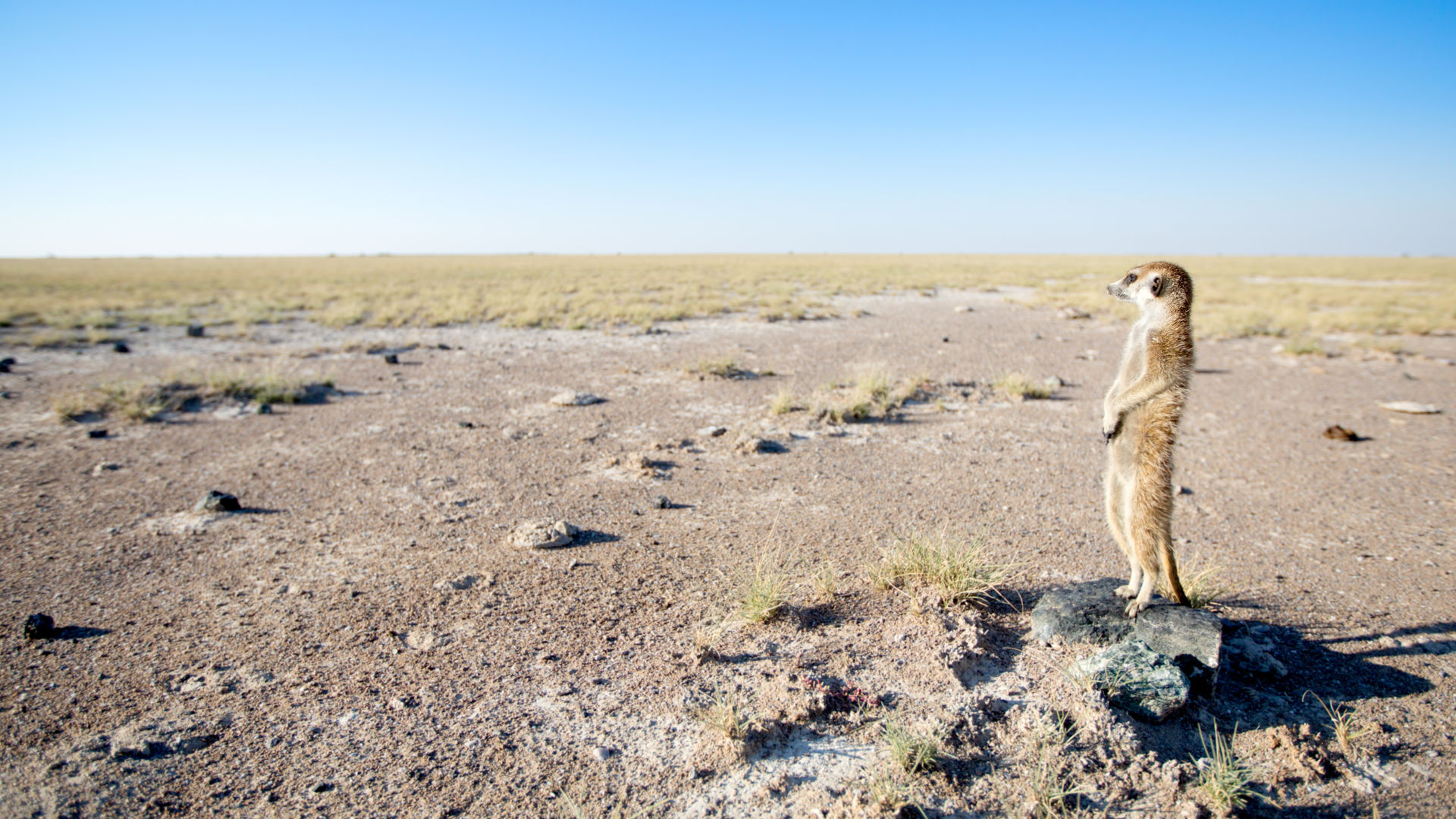 Reisspecialist Paula van Matoke Tours op studiereis in Botswana