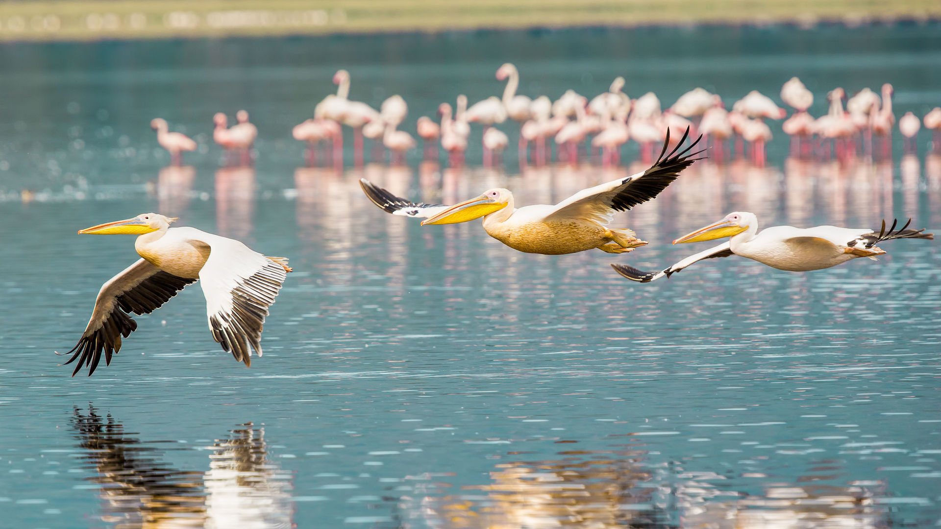 Kenia Comoren | Matoke Tours