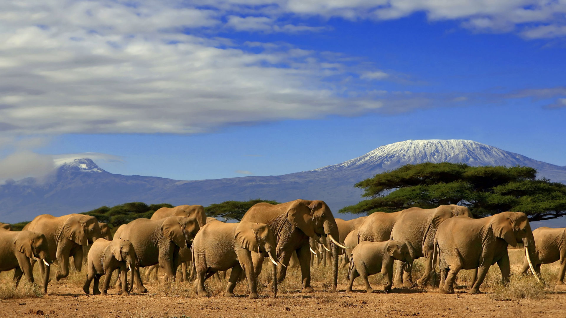 Luxe reis Kenia | Matoke Tours | 12-daagse exclusieve safari