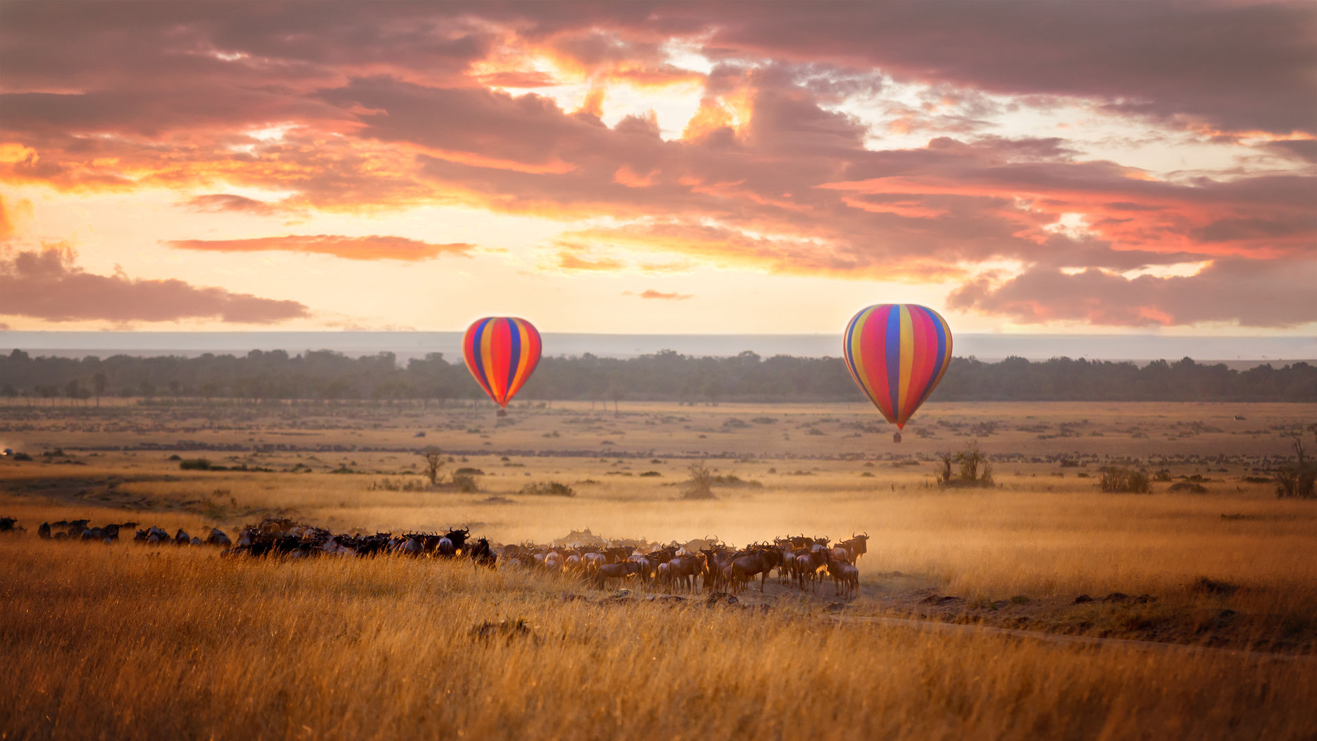 Privéreis Oeganda& Kenia gorilla safari - 13 dagen | Matoke Tours